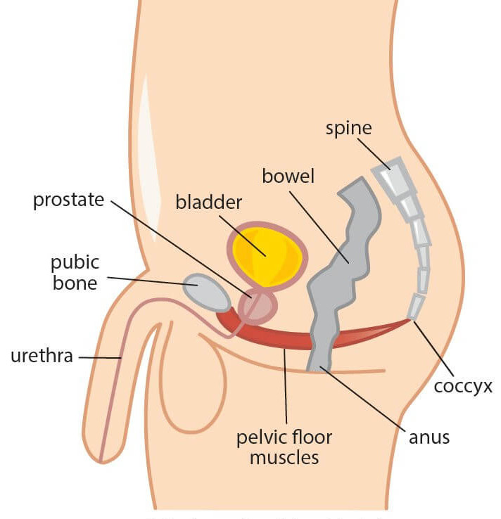 Pelvic Pain in Men & Chronic Pelvic Pain Syndrome (CPPS) Treatment in NYC